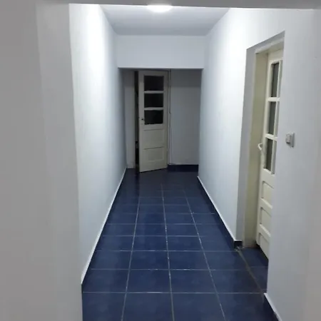 Sara 3 dormitoare nu primesc santieristi si petrecareti Villa Bucureşti Exterior foto