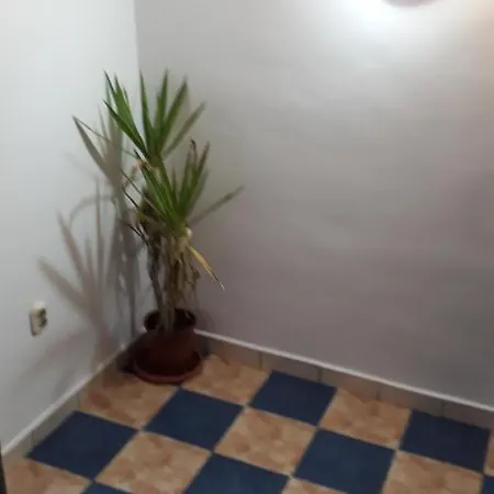 Sara 3 dormitoare nu primesc santieristi si petrecareti Villa Bucureşti Exterior foto