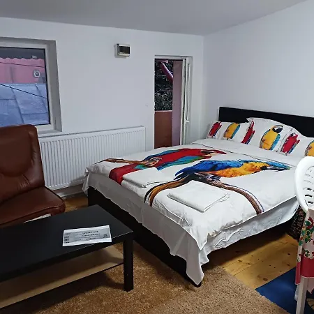 Sara 3 dormitoare nu primesc santieristi si petrecareti Villa Bucureşti Exterior foto