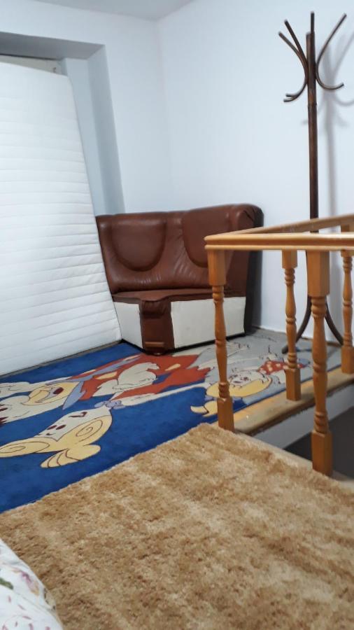 Ferienhaus Sara 3 Dormitoare Nu Primesc Santieristi Si Petrecareti Bukarest